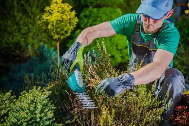 landscaping services Minerva Park